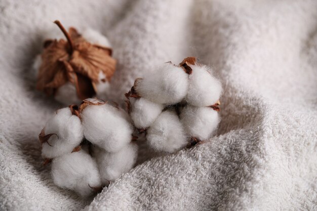 Dlaczego warto mieć tekstylia z bawełnianej kory?